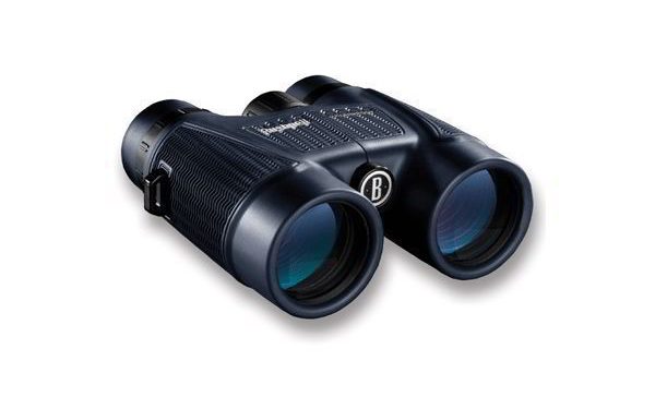 7984f7d502fd1e564c8bde64fbc3e5e7