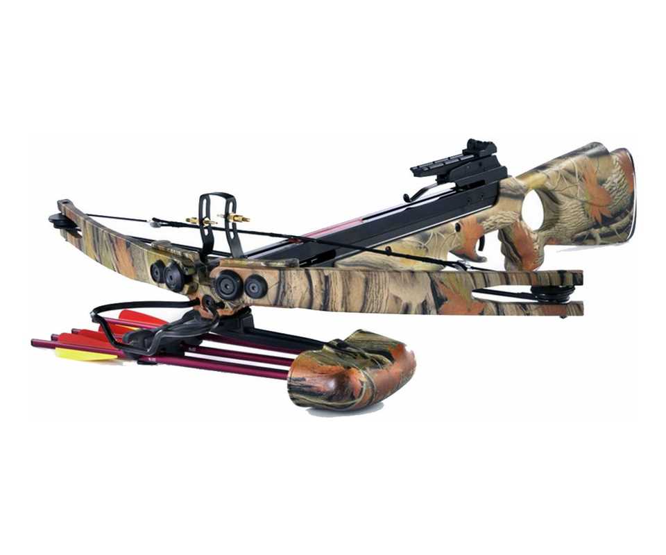 8934c498d57a213a3b3ac4770aff7159