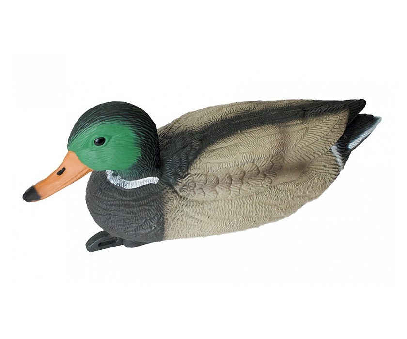 a5556d329d658140730745b356bf4ed8