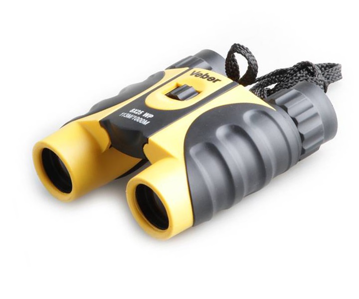 f8a1e2d4c58c2243e251035e1d78a472